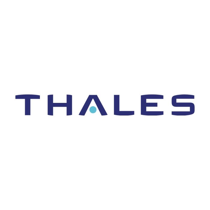 Thales Vesselink Terminal (4102947-521)