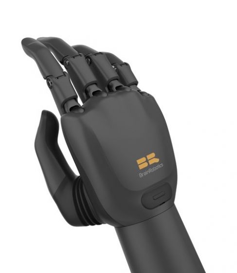 Brainco Intelligent Dexterous Bionic Hand (Intelligent Dexterous Bionic Hand)