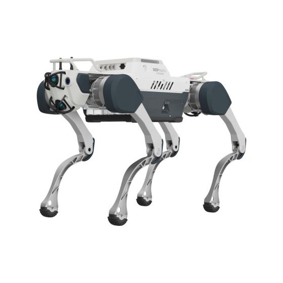 Deep Robotics X30 Pro Industrial Quadruped Robot Dog
