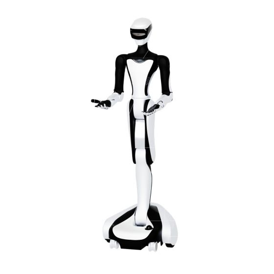 RobotEra Q5 Service Robot 